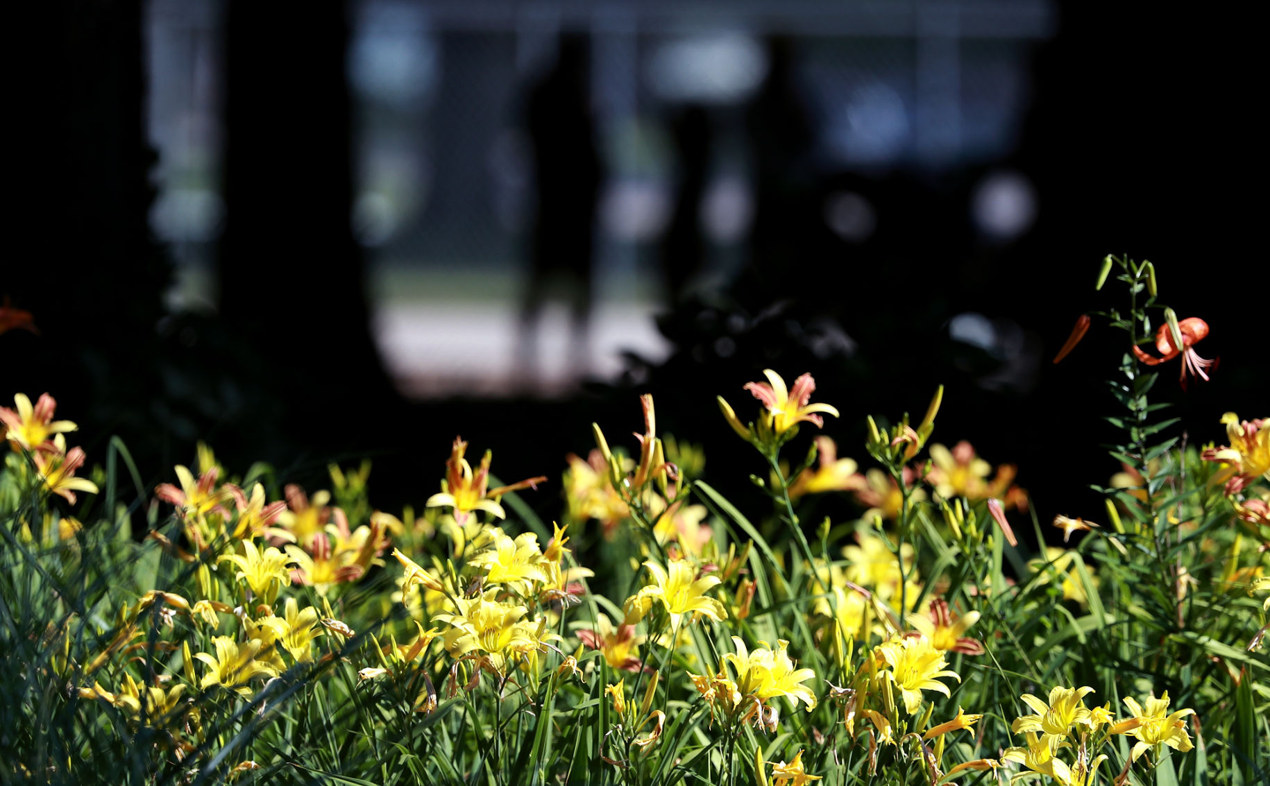 072719_StolleyGarden006_bjs.JPG